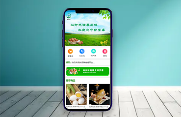 內蒙古網站建設,林間味